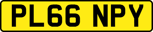 PL66NPY