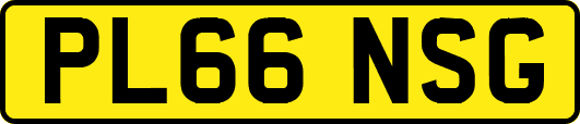 PL66NSG