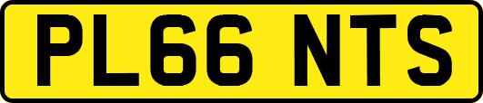 PL66NTS