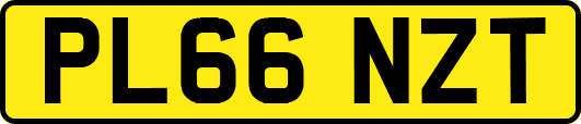 PL66NZT