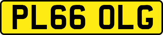 PL66OLG