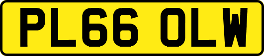 PL66OLW
