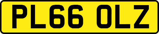 PL66OLZ
