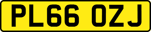 PL66OZJ