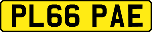 PL66PAE