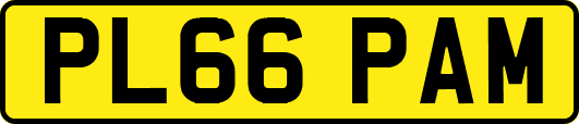PL66PAM
