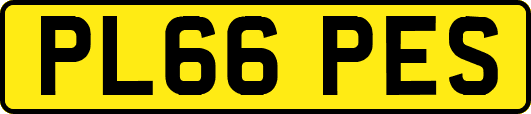PL66PES