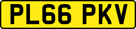 PL66PKV