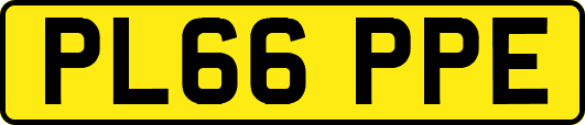 PL66PPE