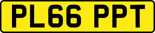 PL66PPT