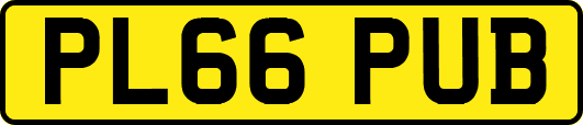 PL66PUB