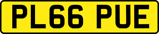 PL66PUE