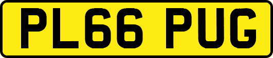 PL66PUG
