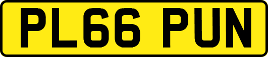 PL66PUN