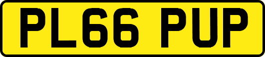 PL66PUP