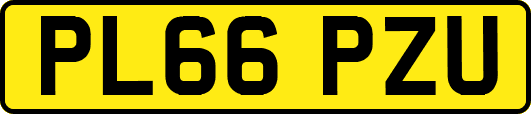 PL66PZU