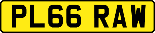 PL66RAW