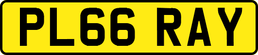 PL66RAY