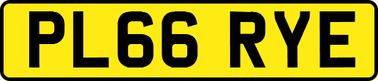 PL66RYE