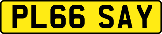 PL66SAY