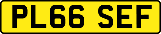 PL66SEF