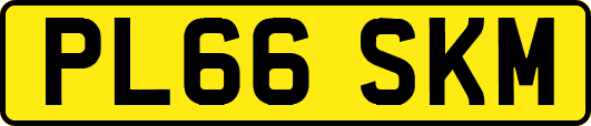 PL66SKM