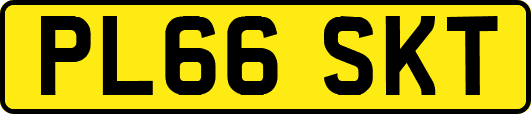 PL66SKT
