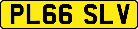 PL66SLV