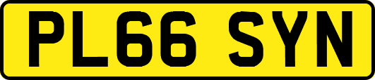 PL66SYN