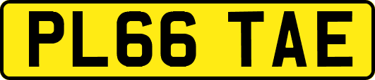 PL66TAE