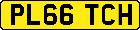 PL66TCH