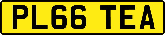 PL66TEA