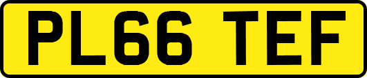 PL66TEF