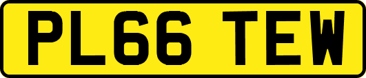 PL66TEW