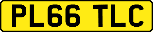 PL66TLC
