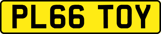 PL66TOY