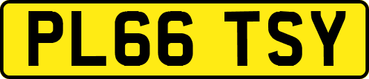 PL66TSY