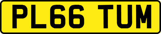 PL66TUM