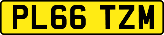 PL66TZM
