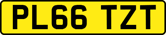 PL66TZT