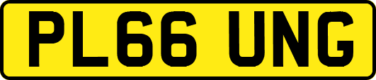 PL66UNG