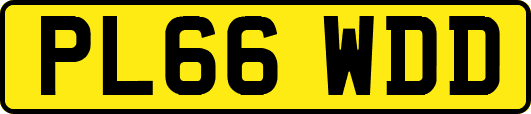 PL66WDD