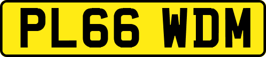 PL66WDM