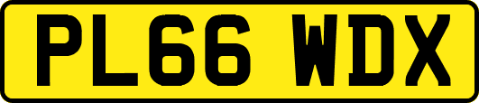 PL66WDX