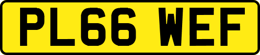 PL66WEF