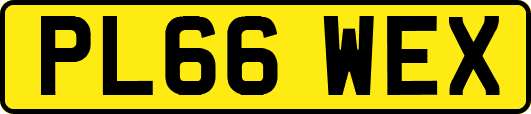 PL66WEX