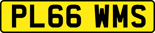 PL66WMS