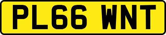 PL66WNT