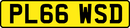 PL66WSD