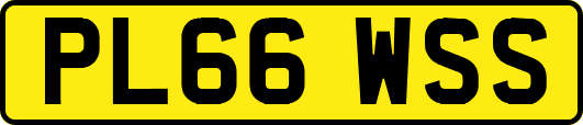 PL66WSS